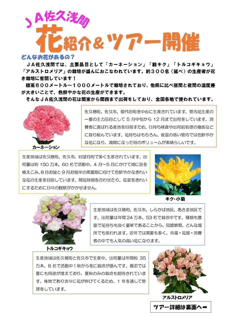 ツアー広告_page-0001