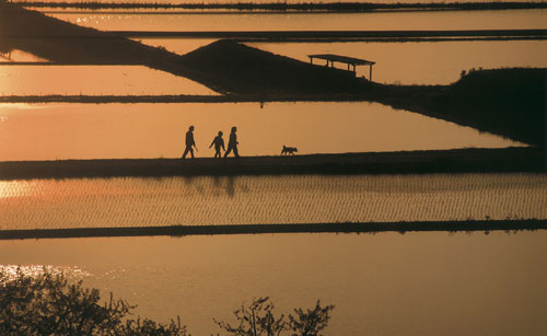 12-33散歩道