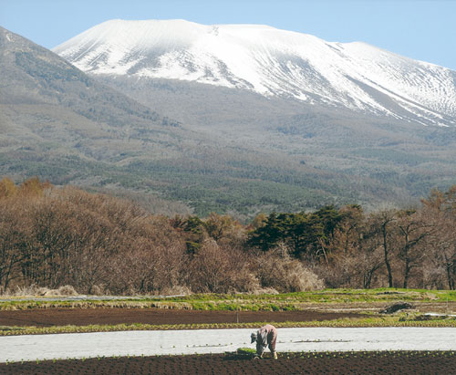 12-42寒き中で