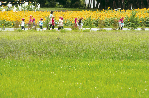 12-43おさんぽ