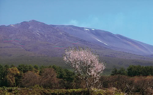 13-44高原の春