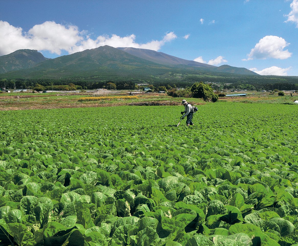16-22高原野菜畑