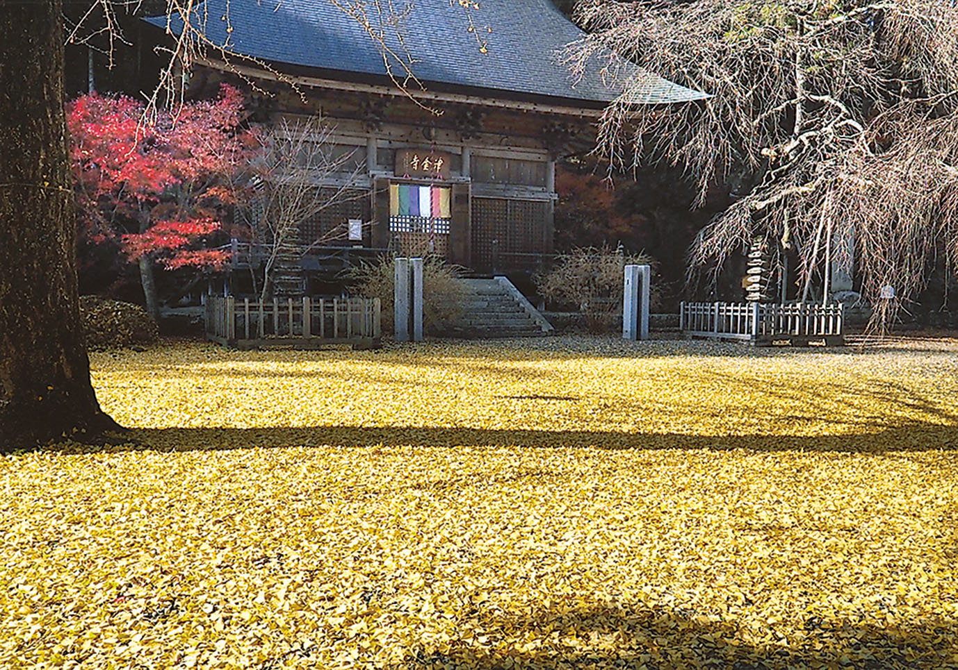 17-36晩秋の寺