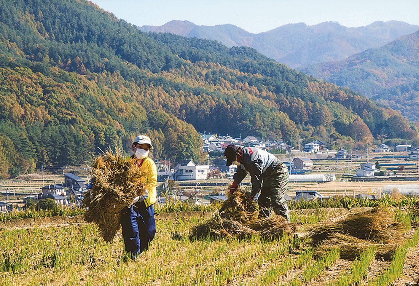 18-25収穫の日
