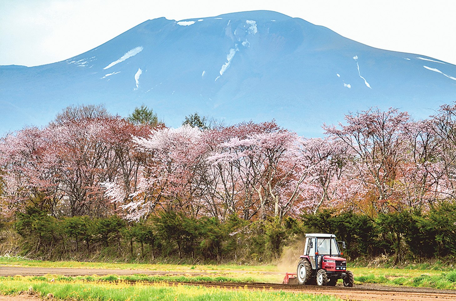 18-35春の香り