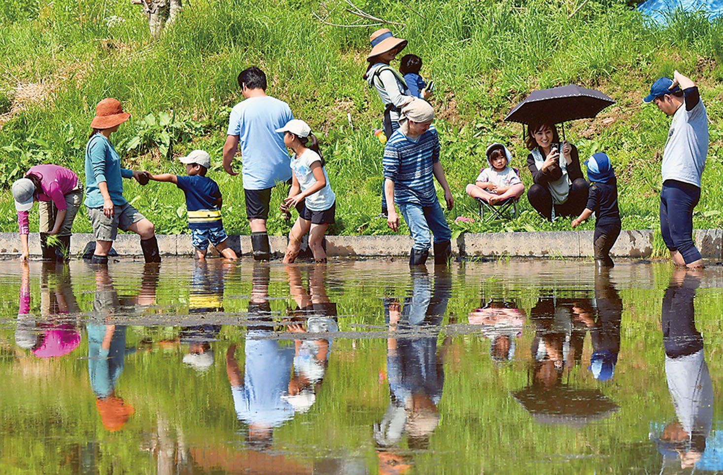 19-11元気な田植え