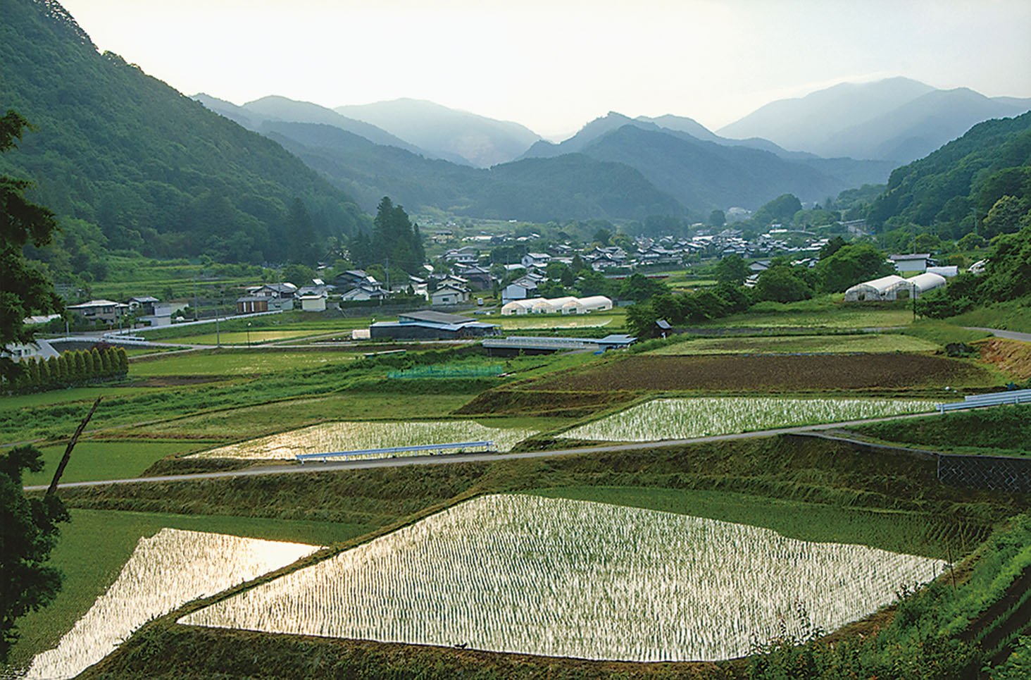 19-15里山の初夏