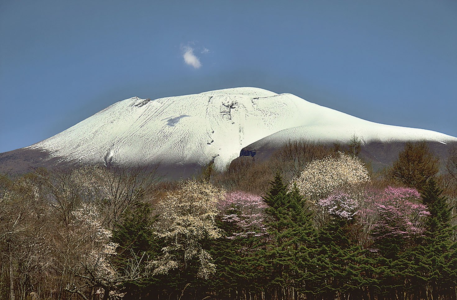 19-20浅間山麓の春