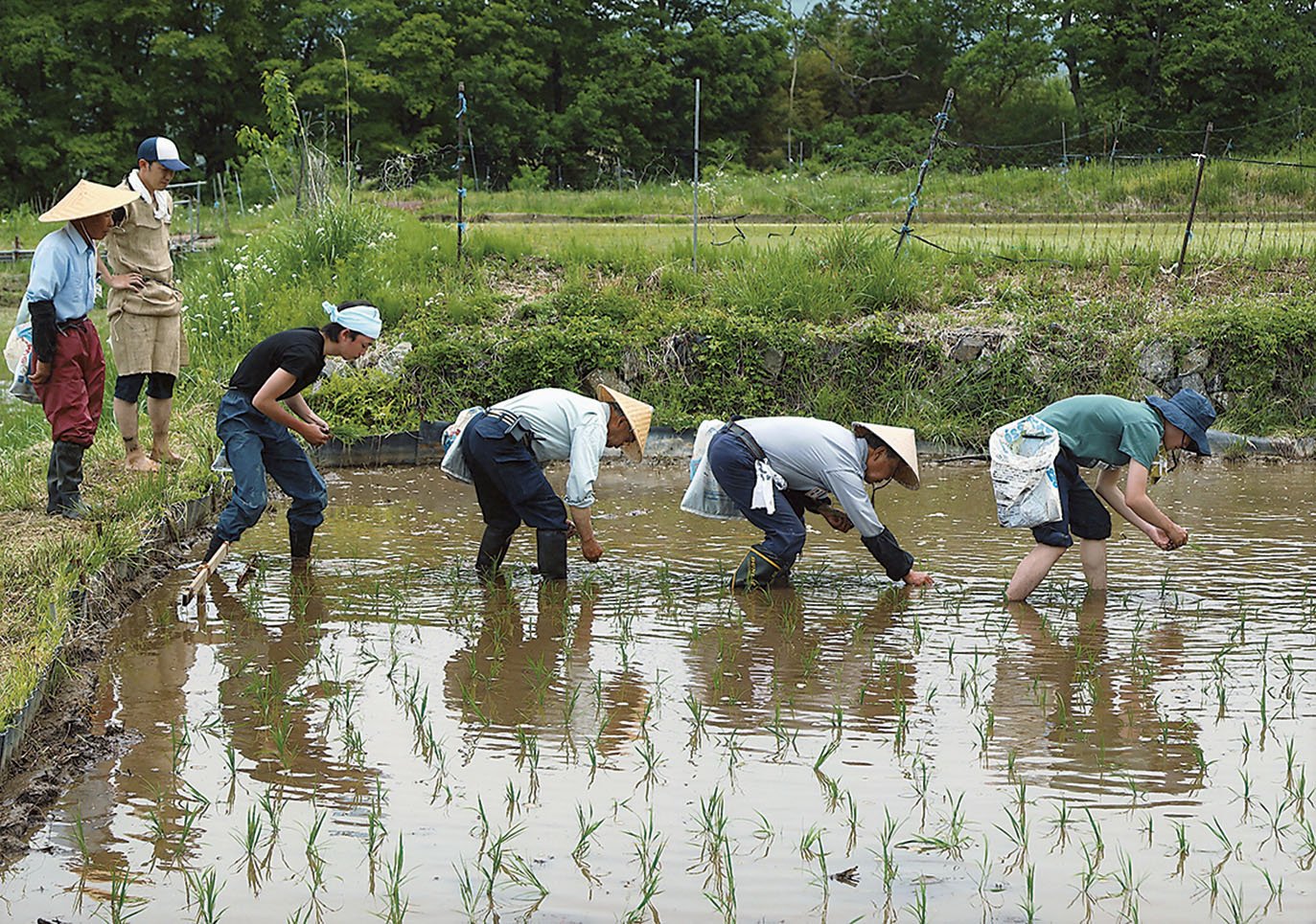 19-4お田植え四銃士