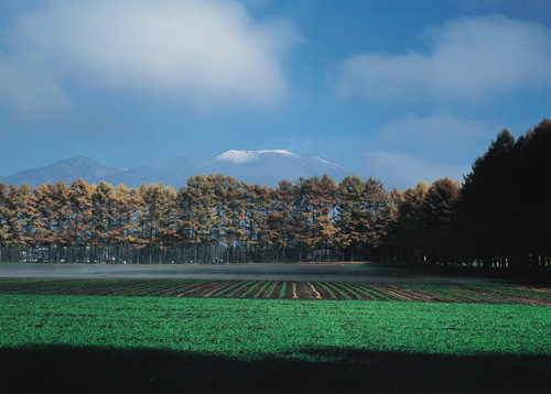 2-4惜秋の景