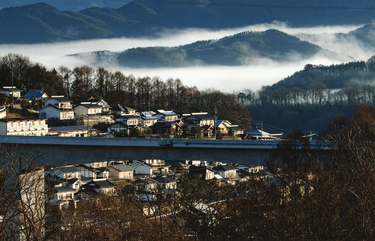 21-18陽さして