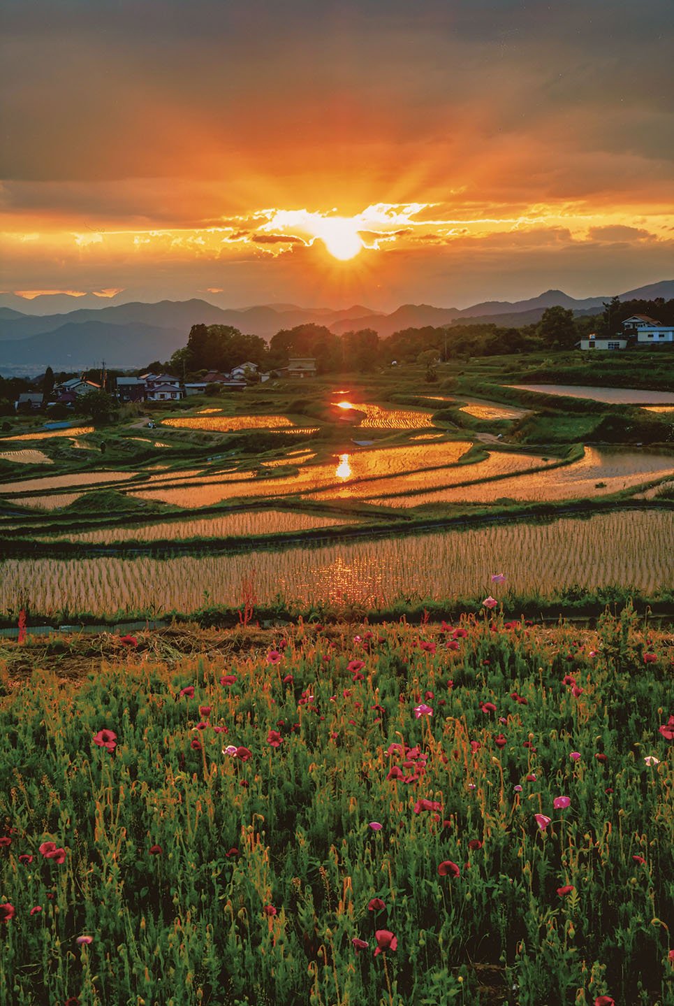 21-3夕刻の光景