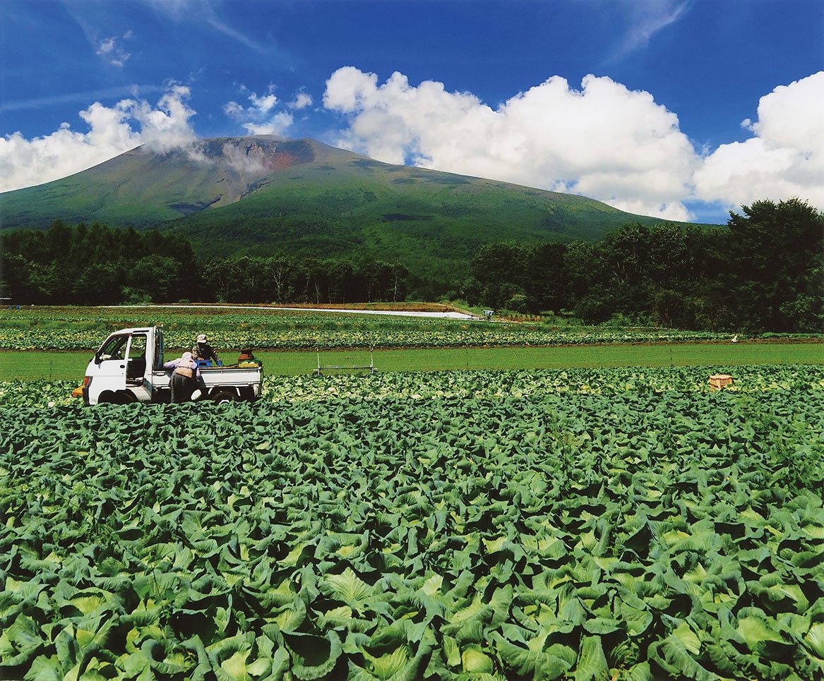 23-28霧下野菜の里にて