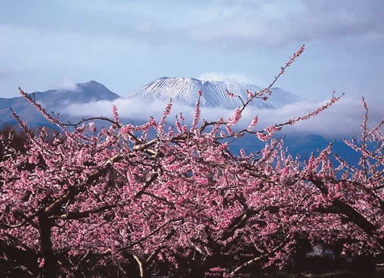 3-40桃源郷の朝