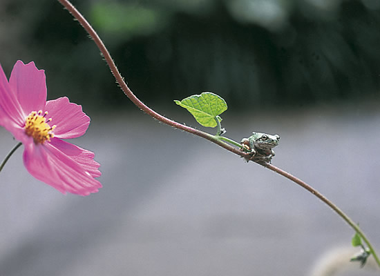 6-10秋の出会い