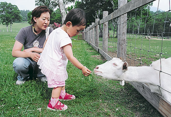 6-29メエメエちゃんたべてね