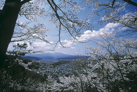 6-37春らんまん