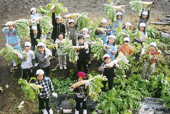 7-17とれたよー!でっかい大根