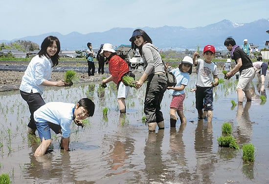 8-31田植え体験