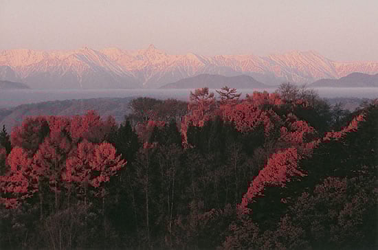 8-46朝焼けの山