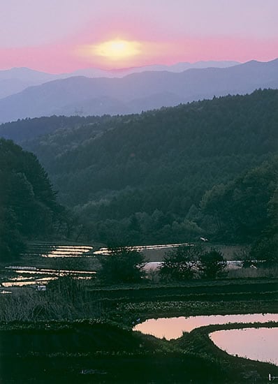 8-48棚田の朝焼け