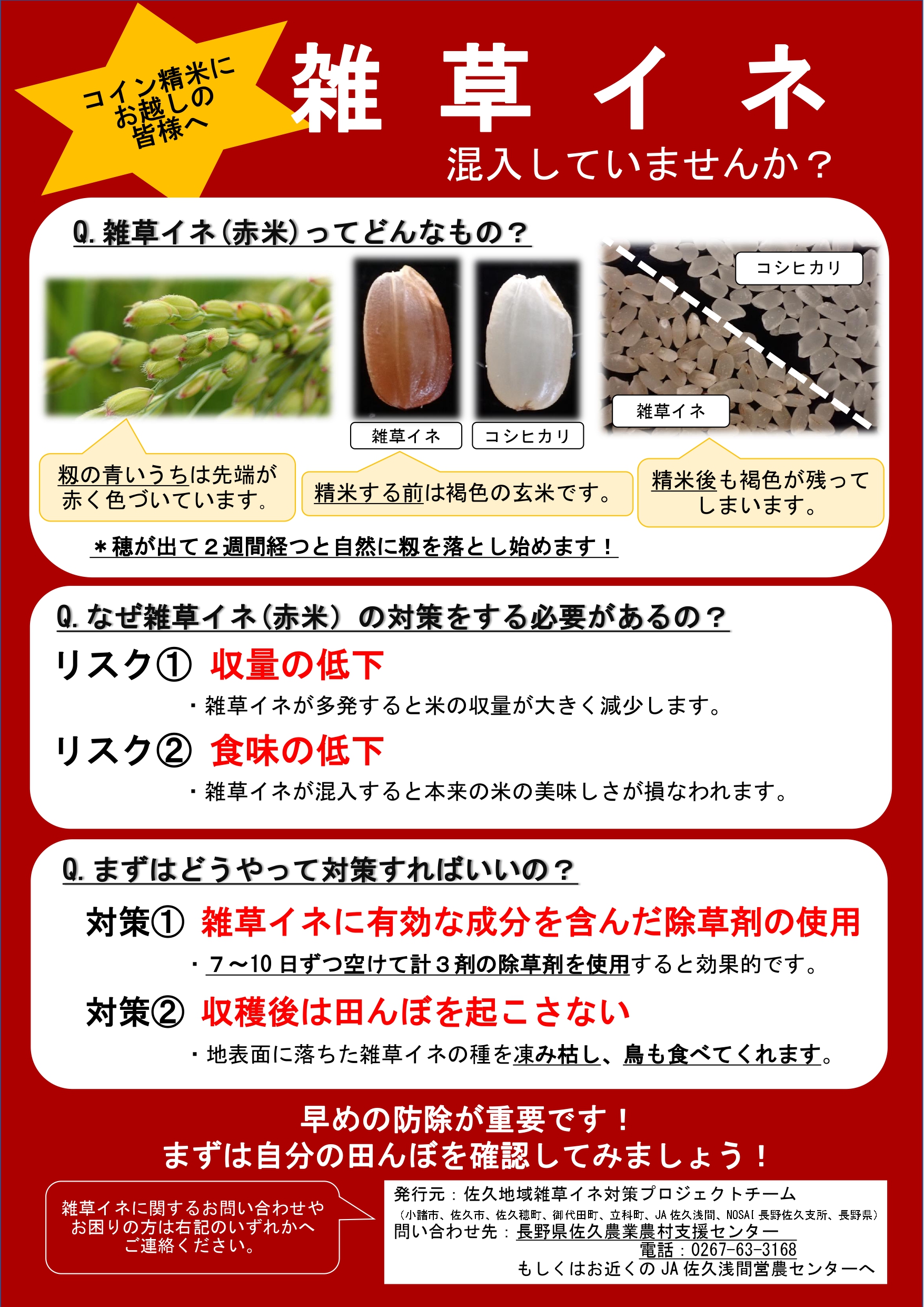 雑草イネ啓発ポスター コイン精米(赤)