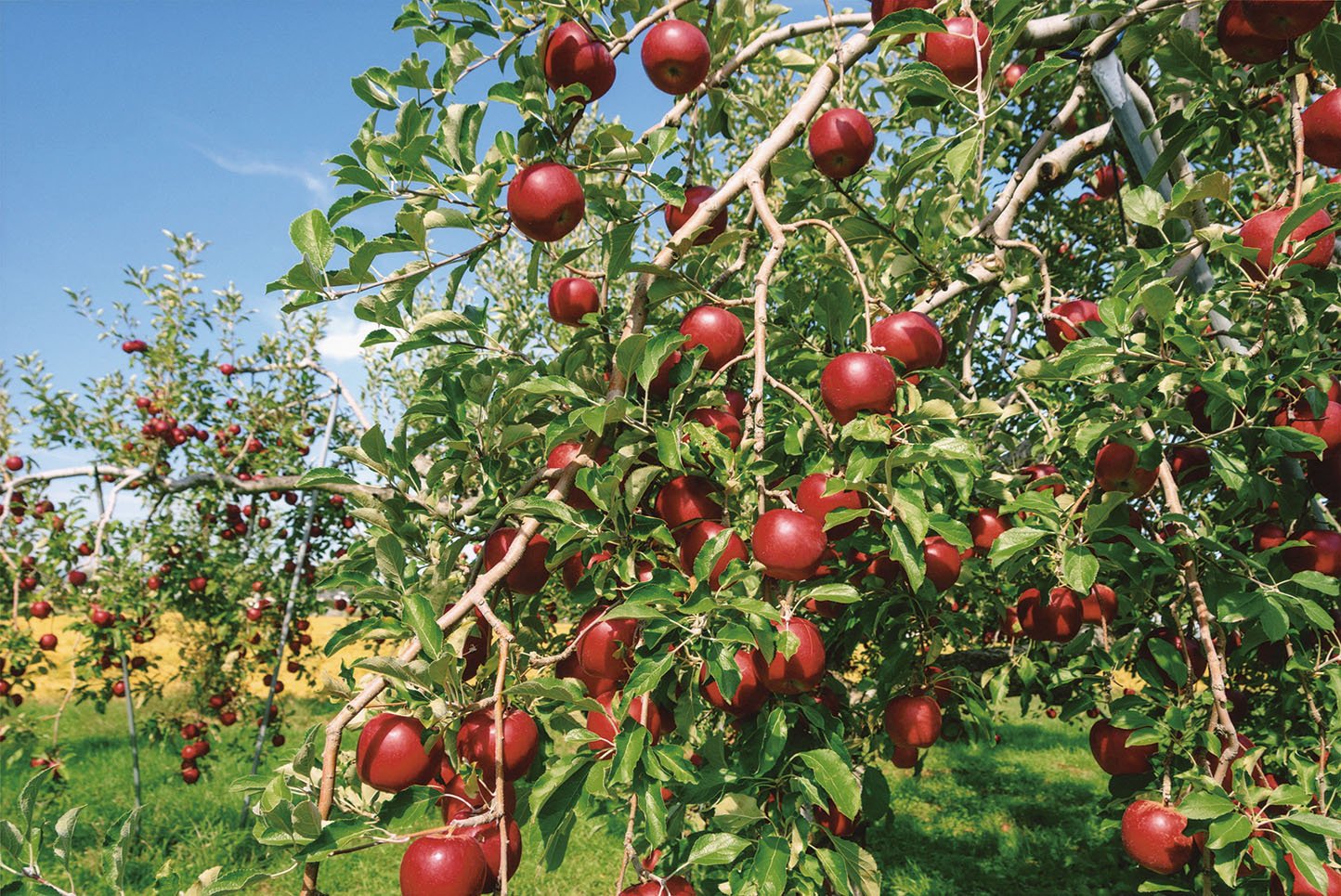 2 優 池田敦子-1