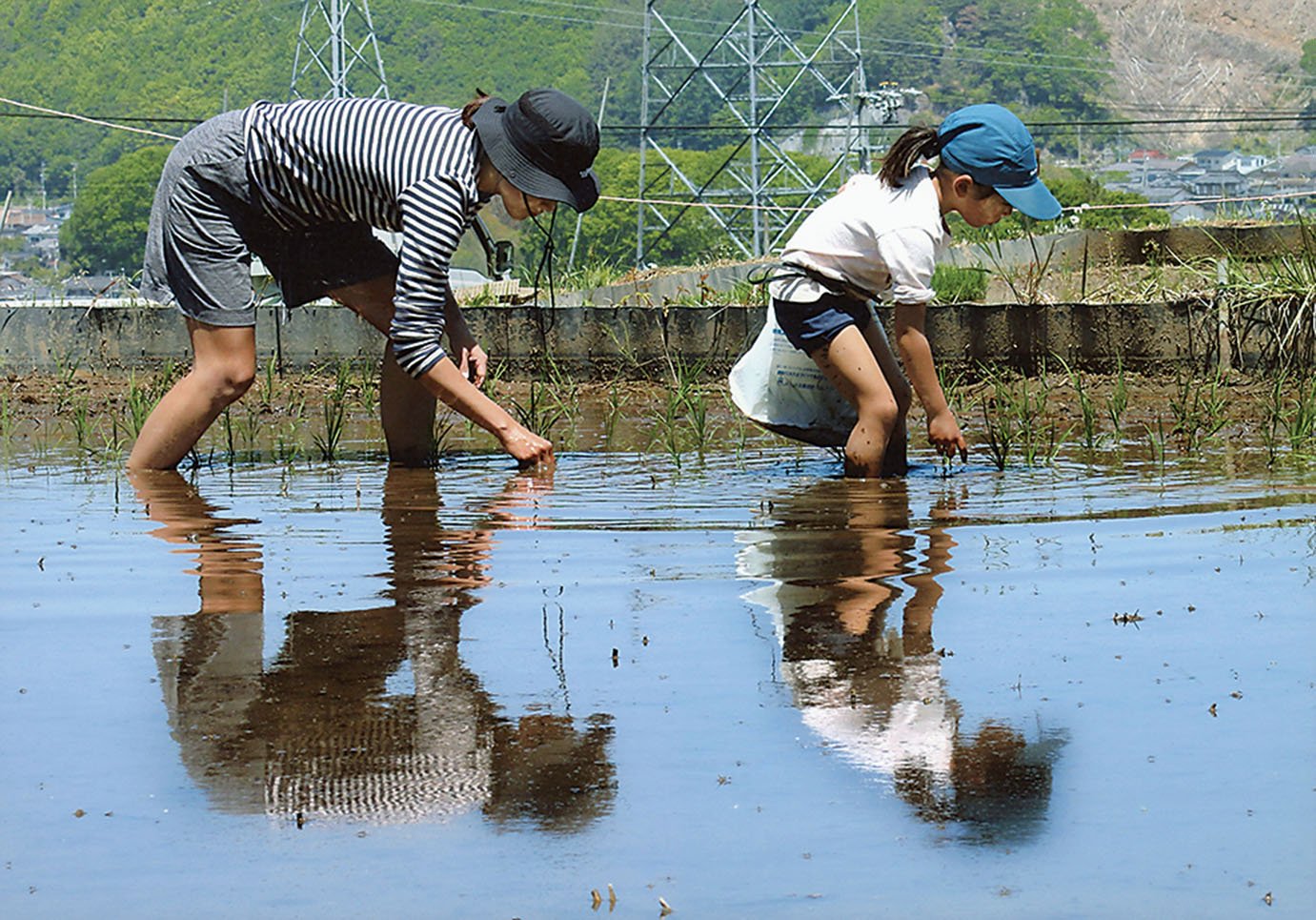 20-20ママとお田植え