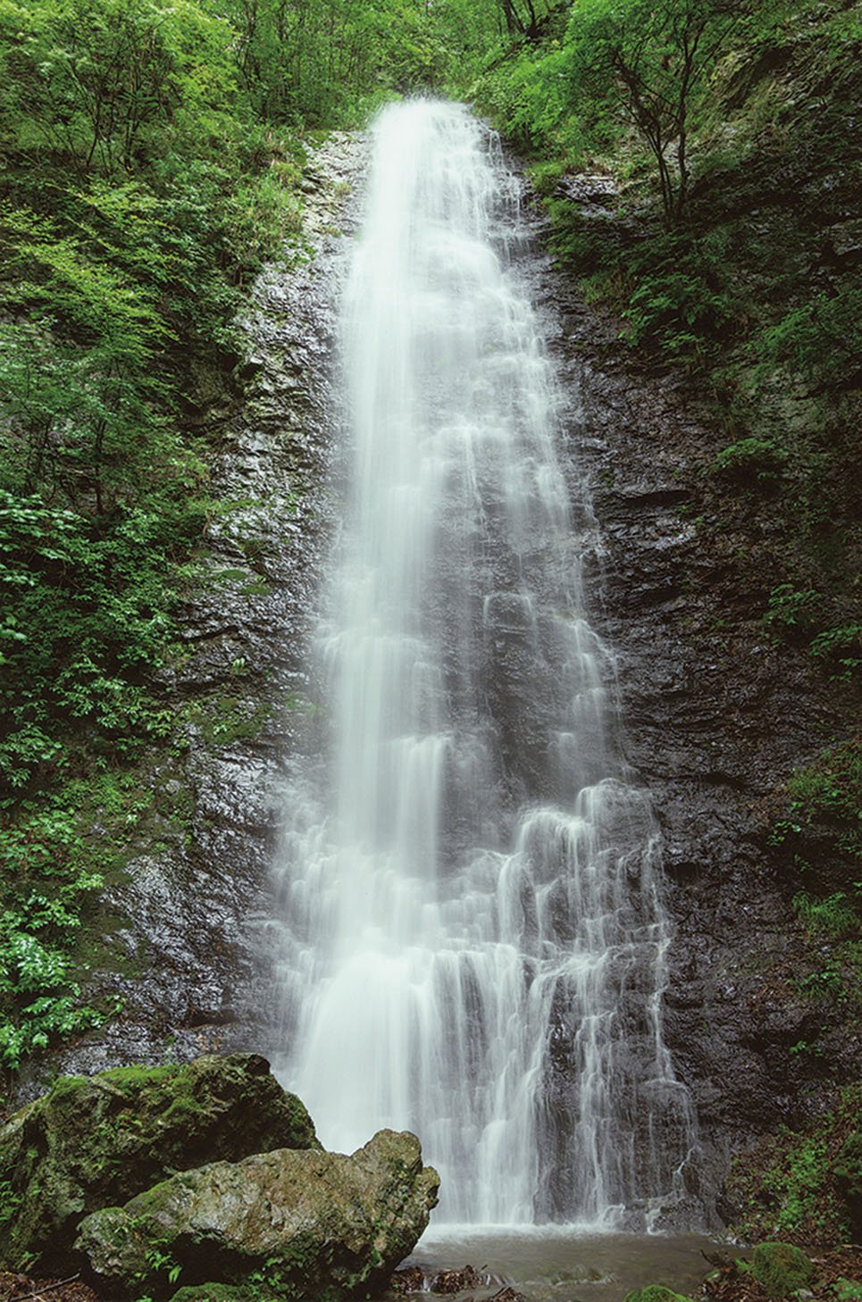 20-35新緑の狭岩大滝