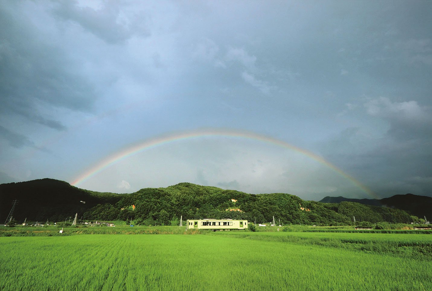 22-16慈雨のあと