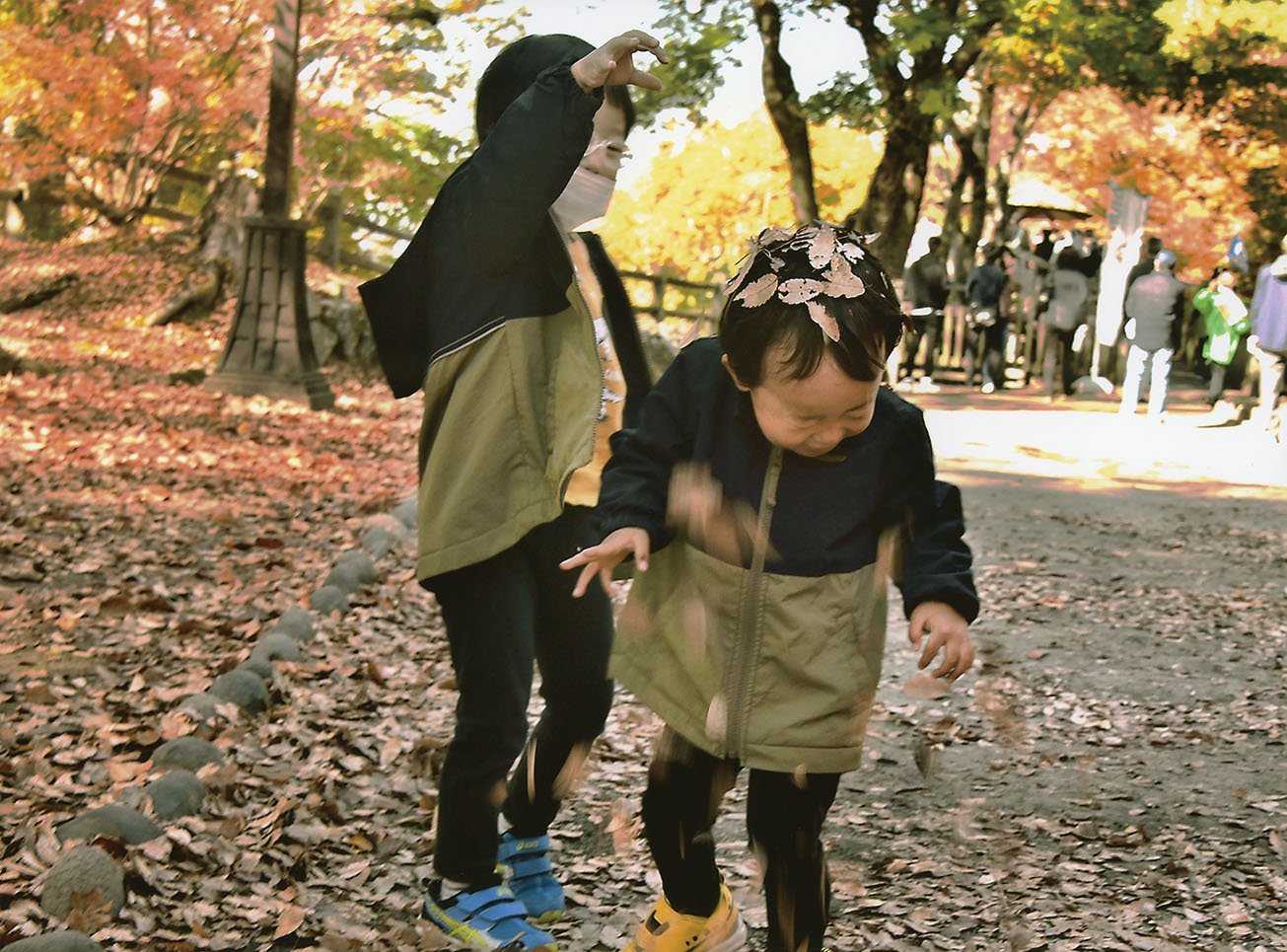 22-22魔法の木の葉