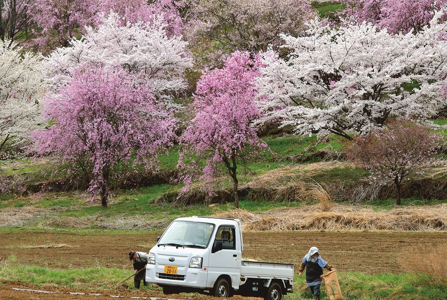 6 入 小林みち子