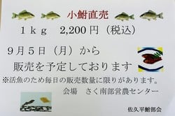 ふな-thumb-250xauto-3197