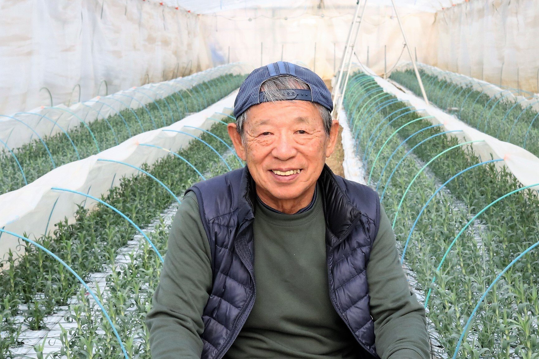 特別栽培米 しらかば地区『立科特別栽培米』『北御牧特別栽培米』｜JA