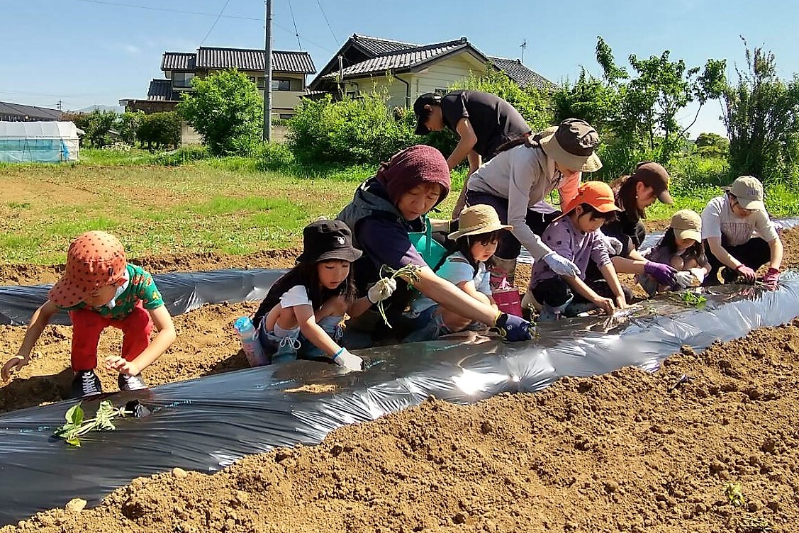 しらかばちゃぐりん