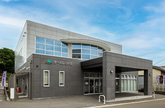 カームしらかば